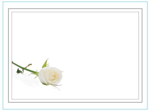 Sig tak for opmærksomheden efter en begravelse/bisættelse med et takkekort, hvor du selv skriver teksten - dette er med en hvid rose.